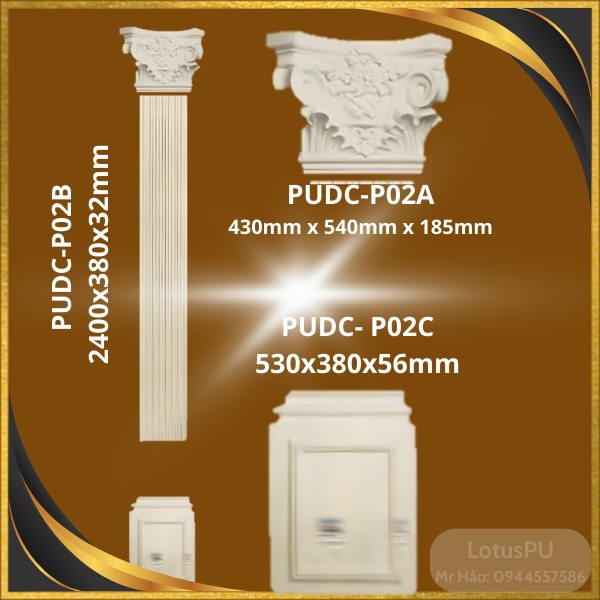 PUDC-P02