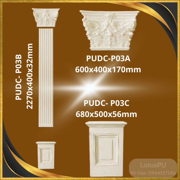 PUDC-P03