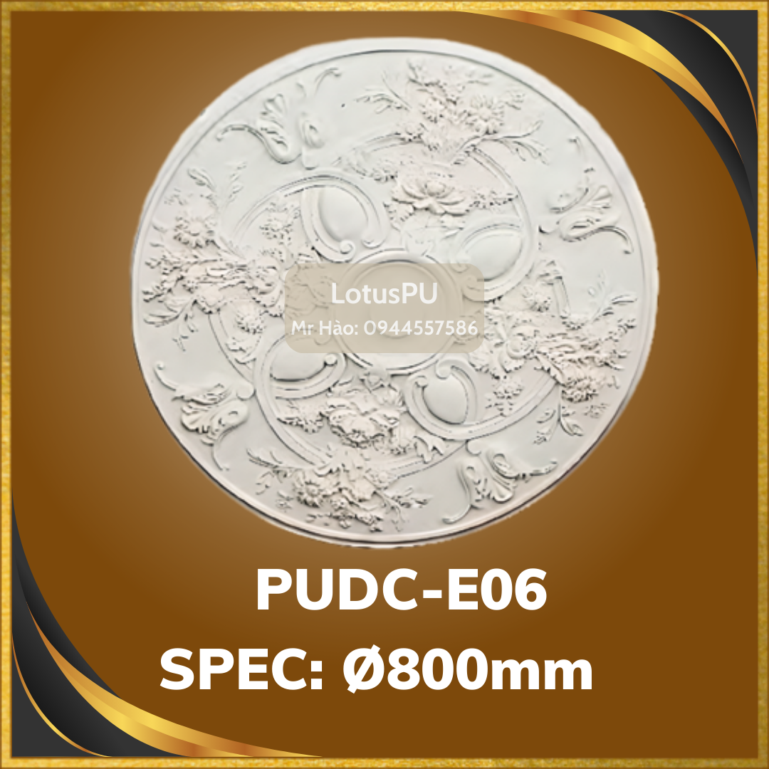 PUDC-E06