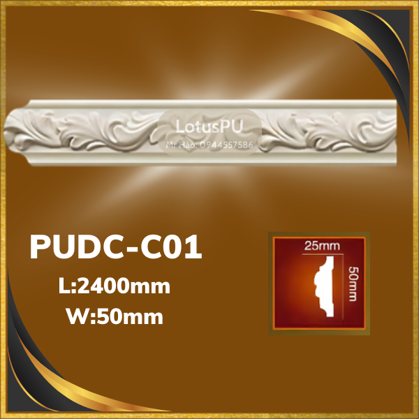 PUDC-C01