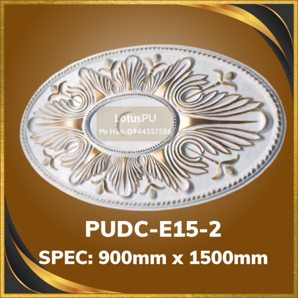 PUDC-E15-2