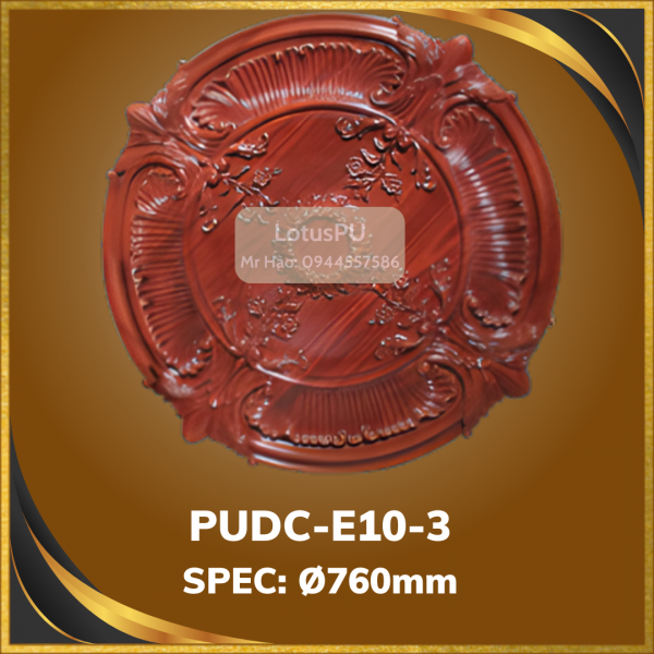 PUDC-E10-3