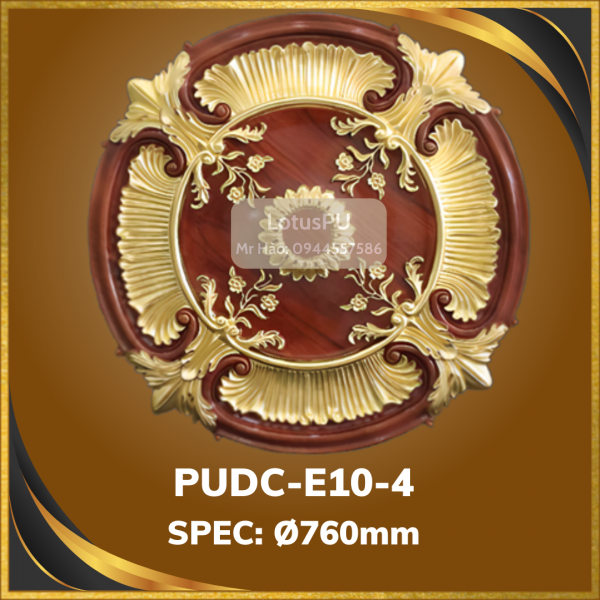 PUDC-E10-4